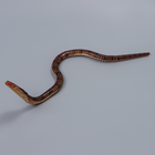 Деревянная игрушка «Змея Кобра», 60×2×2 см - Фото 8
