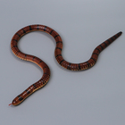 Деревянная игрушка «Змея», 100×2×2 см, МИКС - Фото 2