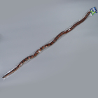 Деревянная игрушка «Змея», 100×2×2 см, МИКС - Фото 5