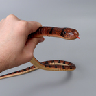 Деревянная игрушка «Змея», 100×2×2 см, МИКС - Фото 10