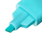 Набор маркеров текстовыделителей 6 штук 6 цветов, в пенале на молнии Капибары - Фото 4