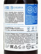 Шампунь для волос с белой глиной и экстрактом василька, восстановление, 300 мл, ECO LAB by URAL LAB - фото 809639039