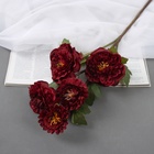 Цветы искусственные «Эустома Розанна», h=70 см, бордовые - Фото 1