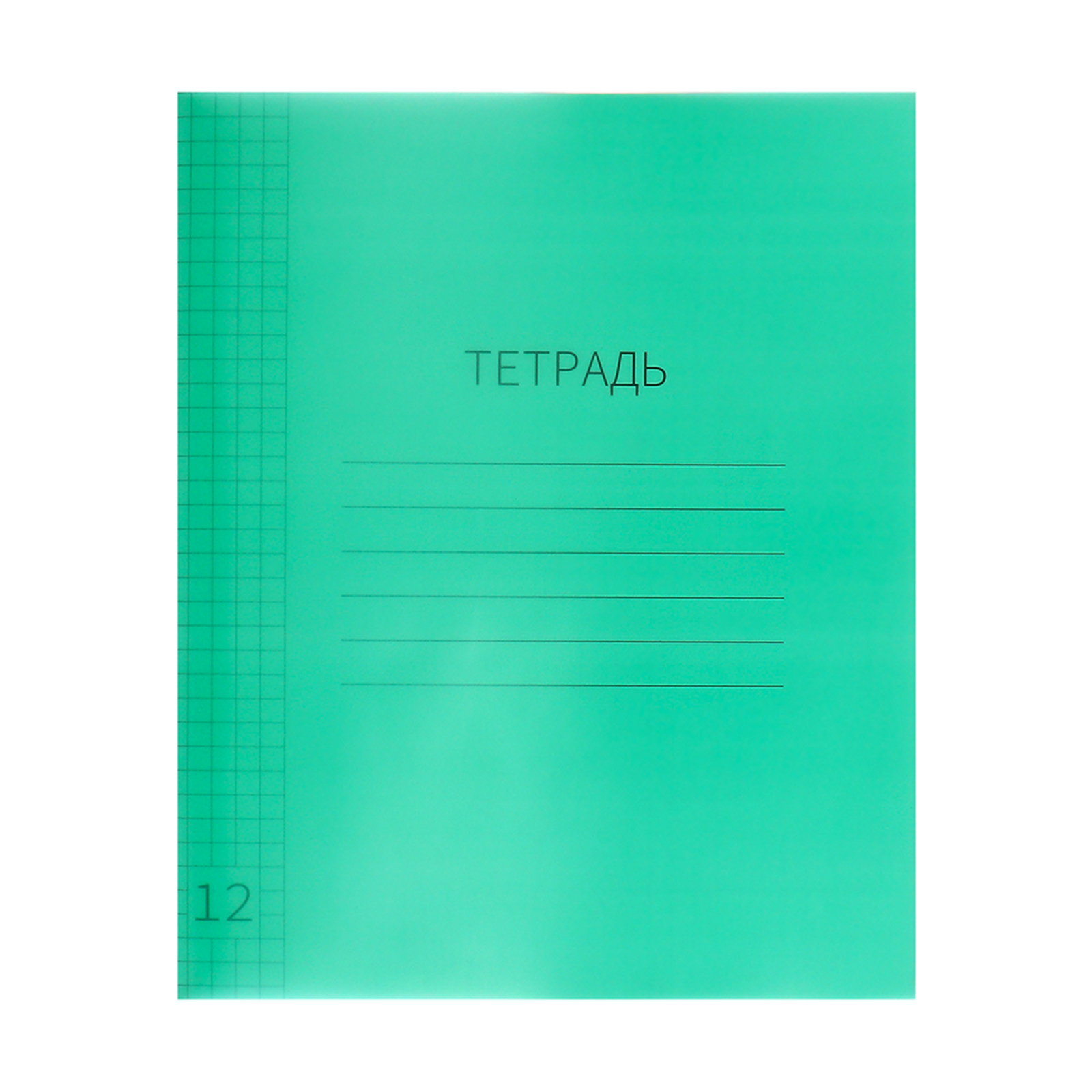 Тетрадь 12 листов в клетку Calligrata "Зелёная", пластиковая обложка, с ...