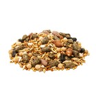 Корм Seven Seeds для хомяков, с орехами, 500 г - фото 8248232