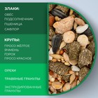 Корм Seven Seeds для морских свинок, с орехами, 500 г - Фото 4