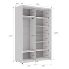 Шкаф-купе «Вера КР», 1400×600×2300 мм, ЛДСП/зеркало, с ящиками, цвет выбеленное дерево - Фото 7