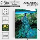 УЦЕНКА Алмазная мозаика с полным заполнением со светящимися стразами на холсте «Павлин», 20 х 30 см - Фото 1