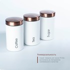 УЦЕНКА Банки жестяные для хранения сыпучих продуктов Prime, 9×15.5 см, 3 шт., цвет белый - Фото 5