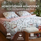 Постельное бельё "Этель" Снегири евро 200х217 см,220х240 см,70х70 см -2 шт,поплин 125 г/м2 10383287 - фото 318605927