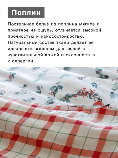 Постельное бельё евро «Этель. Снегири», поплин