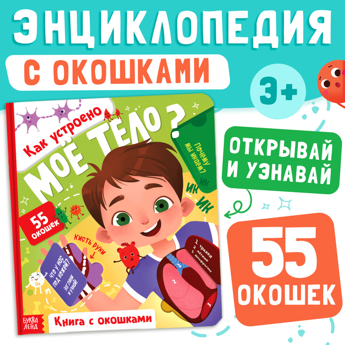 Книга с окошками «Как устроено моё тело?», 55 окошек, энциклопедия - Фото 1