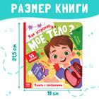 Книга с окошками «Как устроено моё тело?», 55 окошек, энциклопедия - фото 5181264