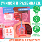Книга с окошками «Как устроено моё тело?», 55 окошек, энциклопедия - Фото 4