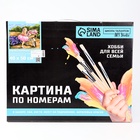 УЦЕНКА Картина по номерам на холсте с подрамником «Девочка с велосипедом», 40×50 см - Фото 2