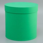 Коробка подарочная круглая "Зеленый" 23*23*23см - фото 25833811