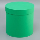 Коробка подарочная круглая "Зеленый" 23*23*23см - фото 25833812