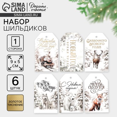 Шильдик декоративный в наборе «Твоя новогодняя сказка», 9×5 см, тиснение