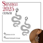 Новый год! Символ года 2025! Серьги металл «Змея» пламенное желание мини, цвет чёрный в серебре 10470796 - фото 4398670