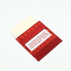 Набор Аромасаше в конверте «Новогодний», 4 шт., 11 х 11 см - Фото 9