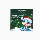 Набор Аромасаше в конверте «Новогодний», 4 шт., 11 х 11 см - Фото 10