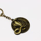 Брелок "Приношу достаток НГ", диам. 4 см 10429648