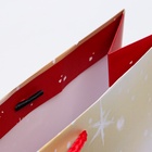 Пакет подарочный новогодний ламинированный «Стеклянный шар», 33×42.5×10 см - Фото 2