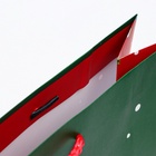 Пакет подарочный новогодний ламинированный «Любви и тепла», 33×42.5×10 см - Фото 2