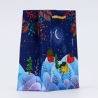 Пакет подарочный новогодний ламинированный «Зимняя ночь», 11.5×14.5×6.5 см - Фото 2