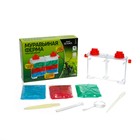 УЦЕНКА Набор для опытов «Муравьиная ферма» - Фото 2