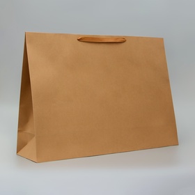 Пакет крафт без печати, 70?50?20 см 210 г (комплект 2 шт)