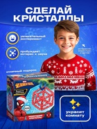 Выращивание новогоднего кристалла «MARVEL. Человек-Паук», набор для опытов - Фото 4