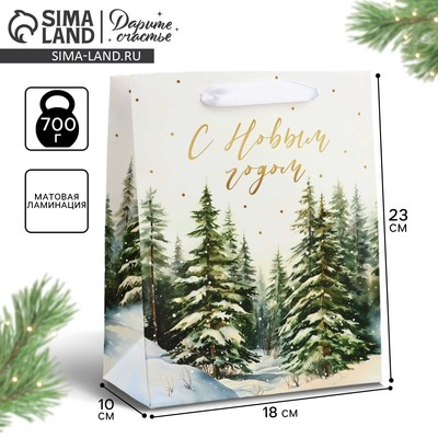 Пакет подарочный новогодний ламинированный «С Новым годом», MS 18×23×10 см