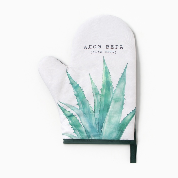 Варежка - прихватка «Доляна. Алоэ вера», 20×27 см - Фото 1