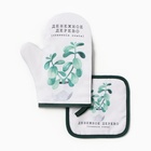 Кухонный набор «Денежное дерево»: варежка-прихватка 20×27 см, прихватка 17×17 см - Фото 1