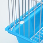 Клетка для грызунов с наполнением RT-3, 30 х 23 х 39 см, голубая - фото 25425249