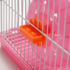 Клетка для грызунов укомплектованная RT-2c, 23 х 16,5 х 20 см, розовая 10602998