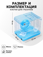 Клетка для грызунов укомплектованная RT-2q, 22 х 16 х 20 см, голубая - Фото 4