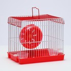 Клетка для грызунов укомплектованная RT-2q, 22 х 16 х 20 см, красная - Фото 1