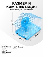 Клетка для грызунов укомплектованная RT-2t, 22 х 16 х 20 см, голубая - Фото 4