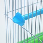 Клетка для птиц укомплектованная Bd-1/1d, 30 х 23 х 39 см, зелёная - Фото 13