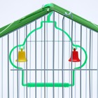 Клетка для птиц укомплектованная Bd-1/1d, 30 х 23 х 39 см, зелёная - Фото 8