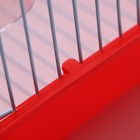 Клетка для птиц укомплектованная Bd-1/1d, 30 х 23 х 39 см, красная - Фото 9