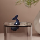 Органайзер для хранения «Кит», с крышкой, в пакете, 9×9×13.5 см, синий, прозрачный - фото 30884057