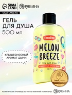 Гель для душа женский, 500 мл, аромат дыни, TeenBee - Фото 1