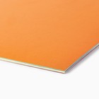 Картон цветной двусторонний А4 мелованный в папке 10 листов 20 цветов 230 г «БукиБяки» - Фото 3