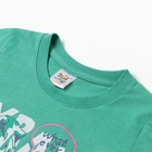 Футболка для мальчика, цвет зелёный, рост 116 - фото 25483206