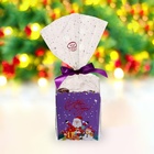 Конфеты подарочные новогодние глазированные "Территория волшебства", МИКС, 170 г - Фото 5