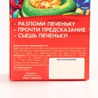 Новый год! Печенье с предсказанием «Всё сбудется», 1 шт х 6 г - фото 5282614