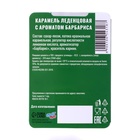 Новый год. Леденцы "С Новым Годом 2025", со вкусом барбариса, 16 г - фото 5282648